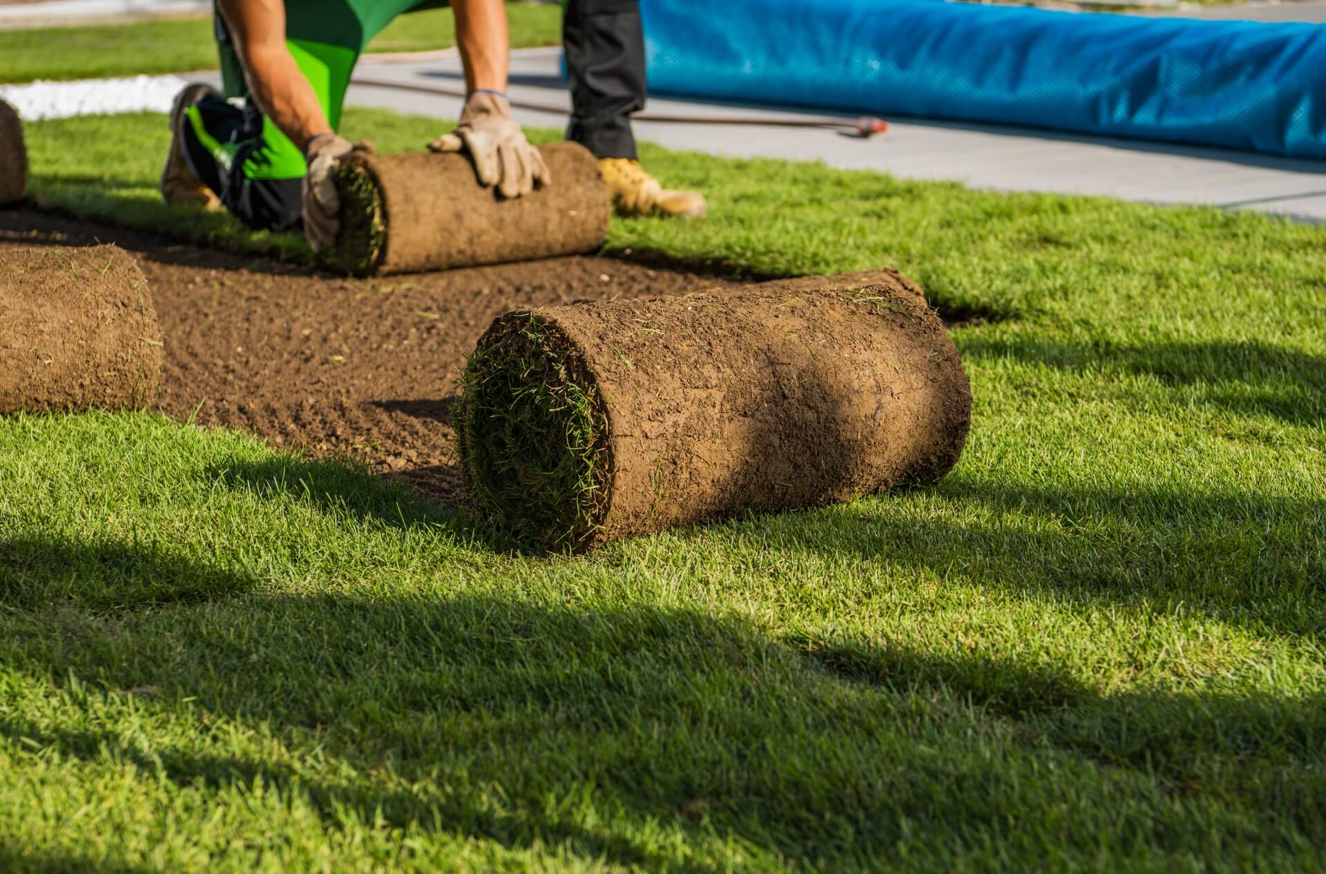 A person laying out rolls of grass to roll.