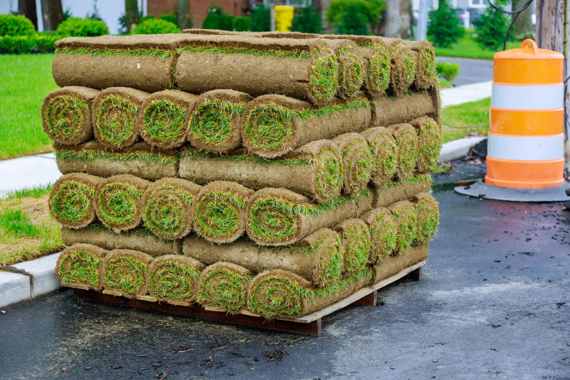 A pile of rolls of grass on top of the ground.