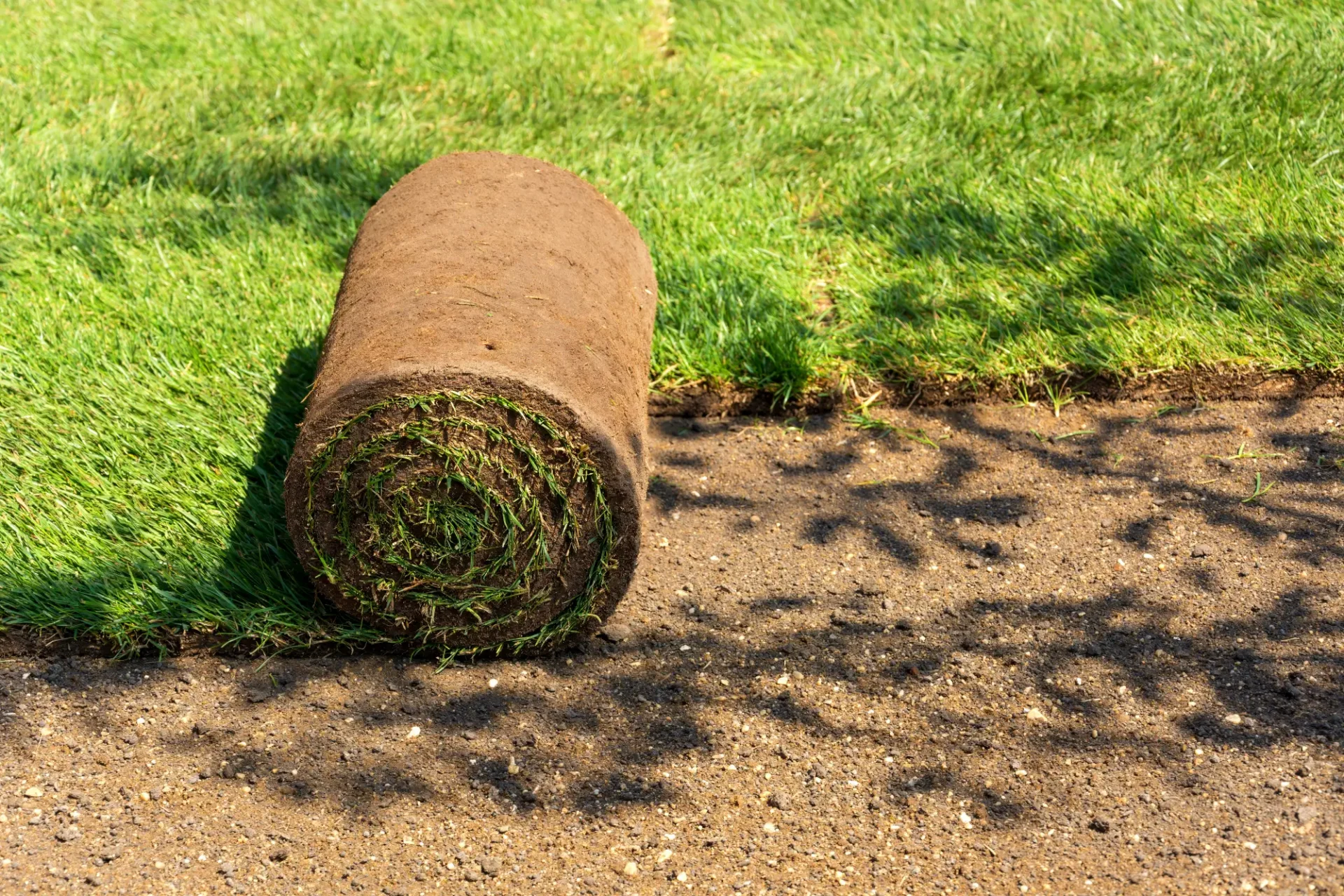 A roll of grass is laying on the ground.