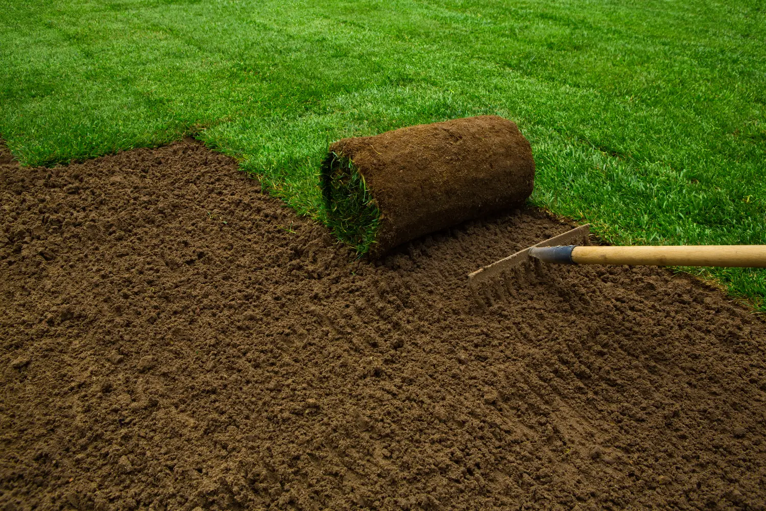 A person is laying grass on the ground